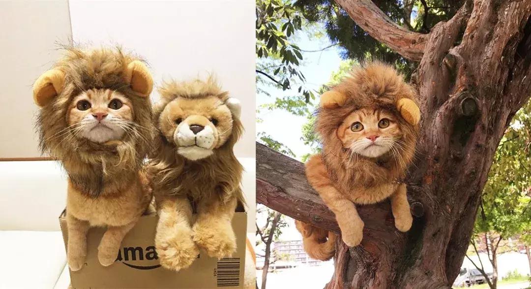 gucci和supreme联名马丁靴,guccisupreme鞋子