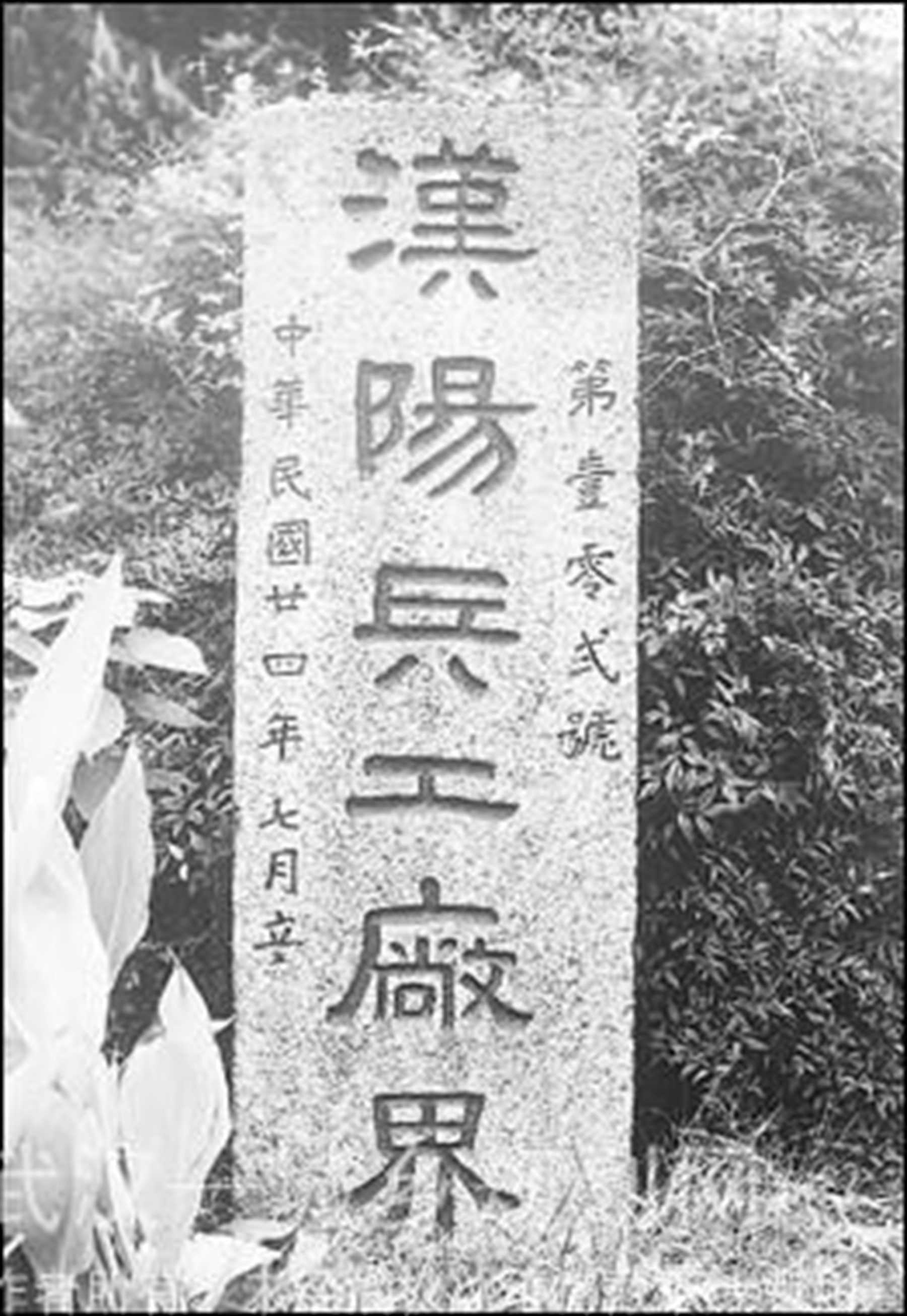 晚清汉阳造步枪,中国汉阳造有哪些枪