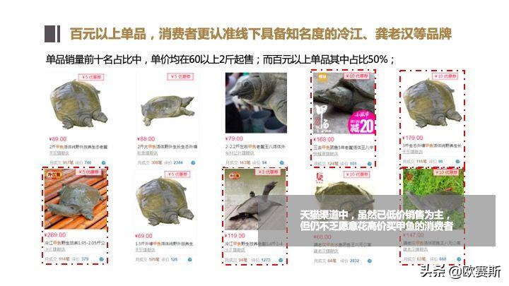 欧赛斯带你全方位洞察甲鱼市场发展趋势及竞争格局