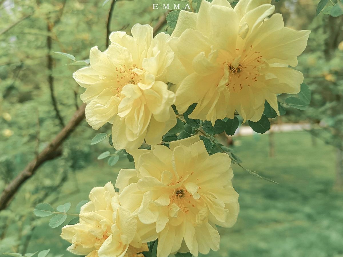 看似大大咧咧其实内心很脆弱,看似天真却心里城府很深的星座