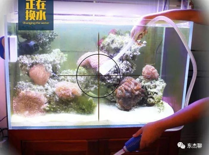 有效除藻方法,除藻最好最快的方法