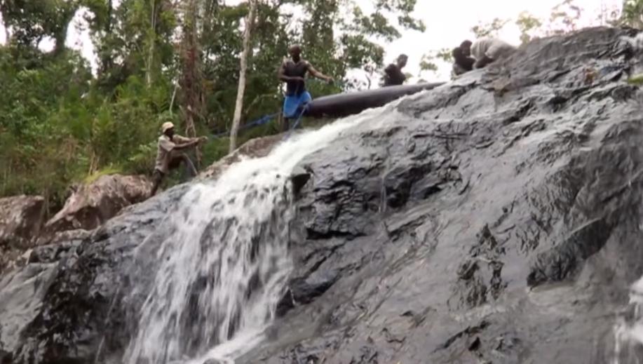 实拍非洲紫檀木*私走**全过程：护林员做*私走**，一根紫檀木赚三万