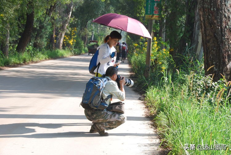 昆明嘉丽泽小镇旅游,昆明嘉丽泽水乡