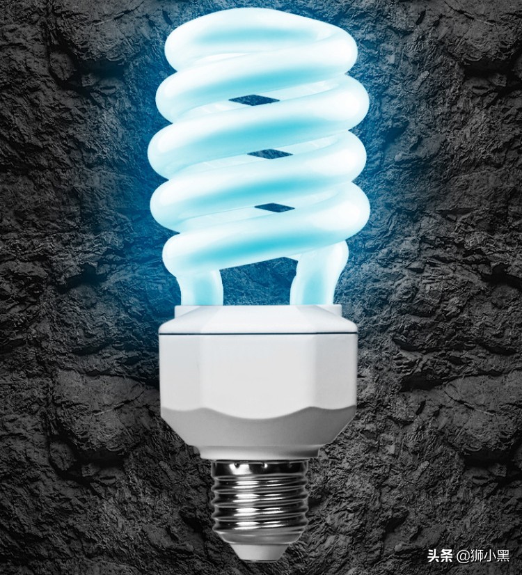 鬃狮蜥饲养套件,鬃狮蜥饲养硬件