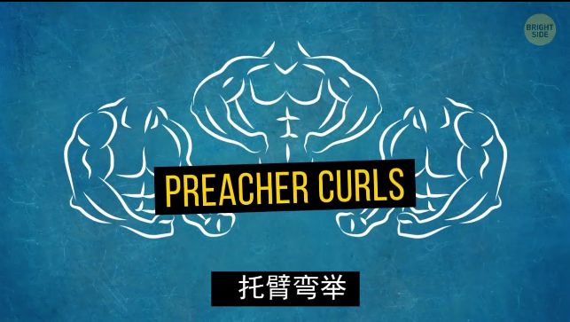 怎么练手臂的肱三头,怎么才能练出手臂的肱三头肌