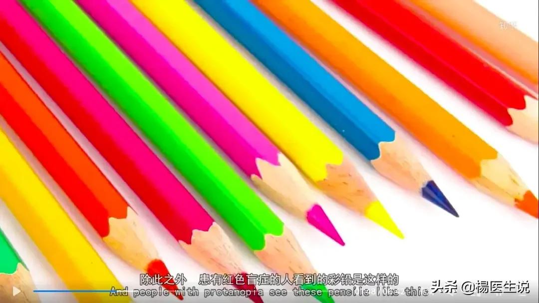 黑白色盲眼中的世界,色盲眼中的世界