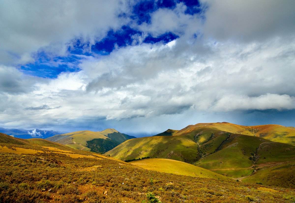 丁真的家乡是甘孜哪里,丁真家乡理塘有多美