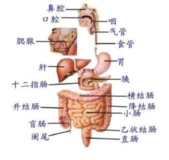 您真的了解糖尿病吗,胃痛的科普小知识