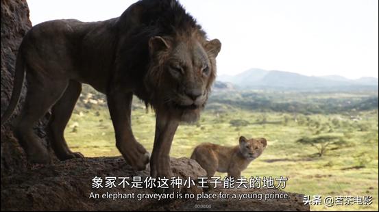 新版狮子王还会再次延续吗,狮子王高光时刻