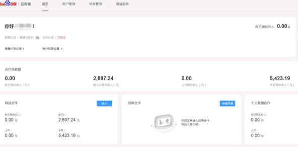 新手做网站如何运营赚钱,如何运营一个能赚钱的网站