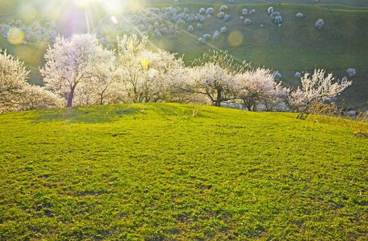 断奶不易且行且珍惜,断奶难么