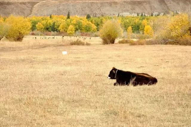 中国国家地理十大最美秋色,寻找中国最美自驾游