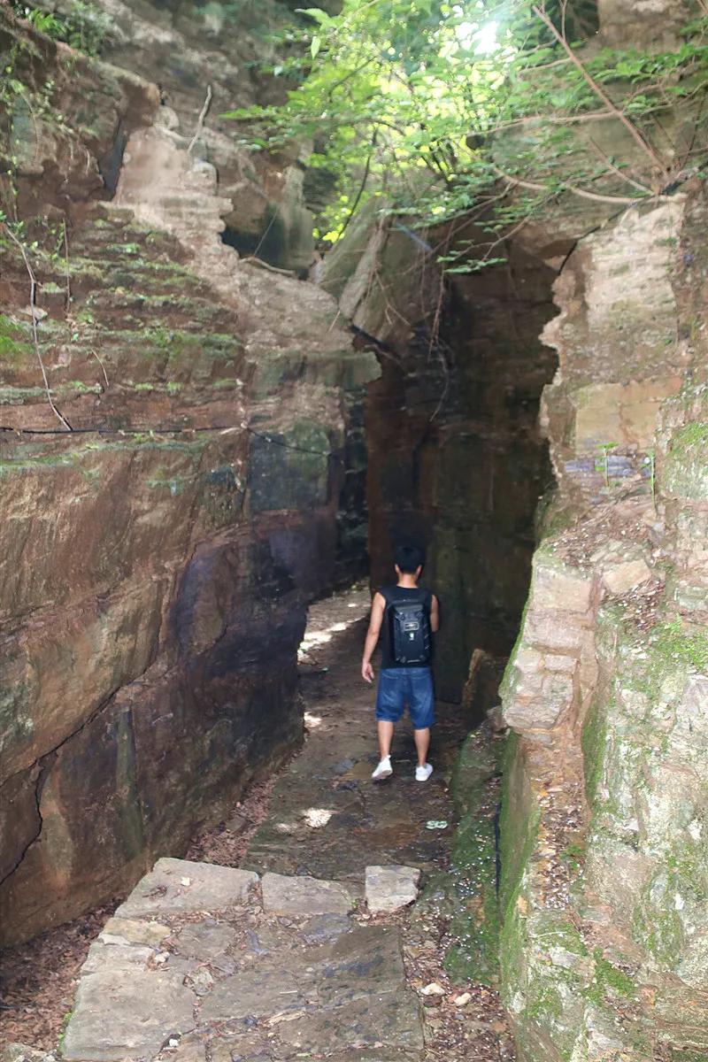 抱犊崮风景区高考门票免费,抱犊崮门票半价政策