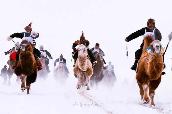 中国最美雪景地方,最适合旅游的雪国