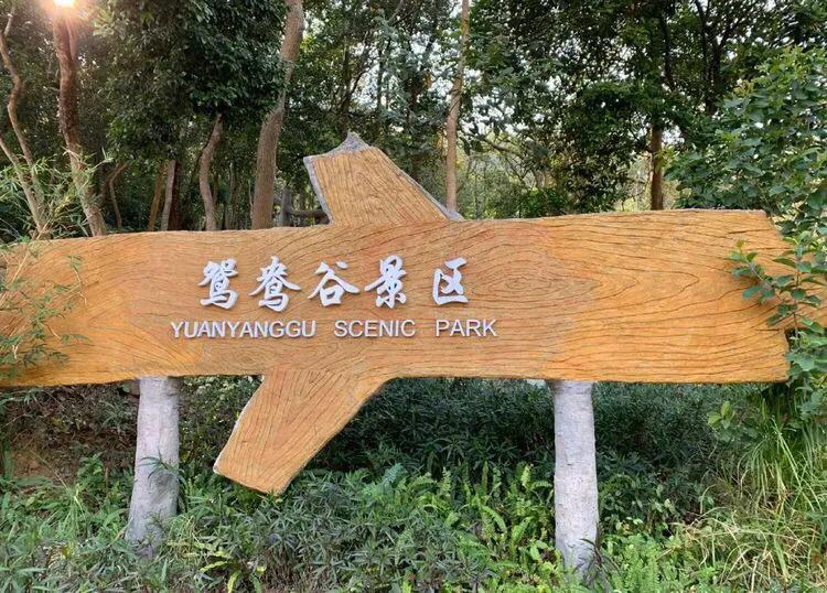 深圳海边最好的公园,深圳有几个靠海的公园