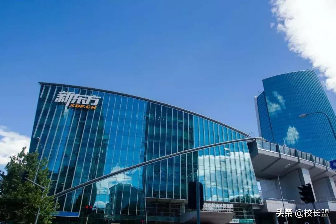 新东方罗娉年薪,新东方罗娉个人资料