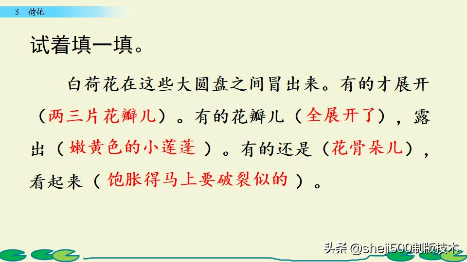 部编版三年级下册语文3荷花讲解,三年级下册部编语文荷花教学视频