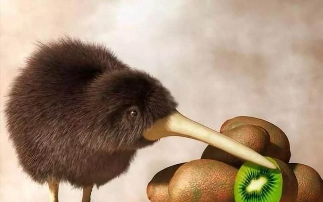 说它是鸟，却没有翅膀和尾巴，说它是兽，却只有两条腿，是啥奇葩