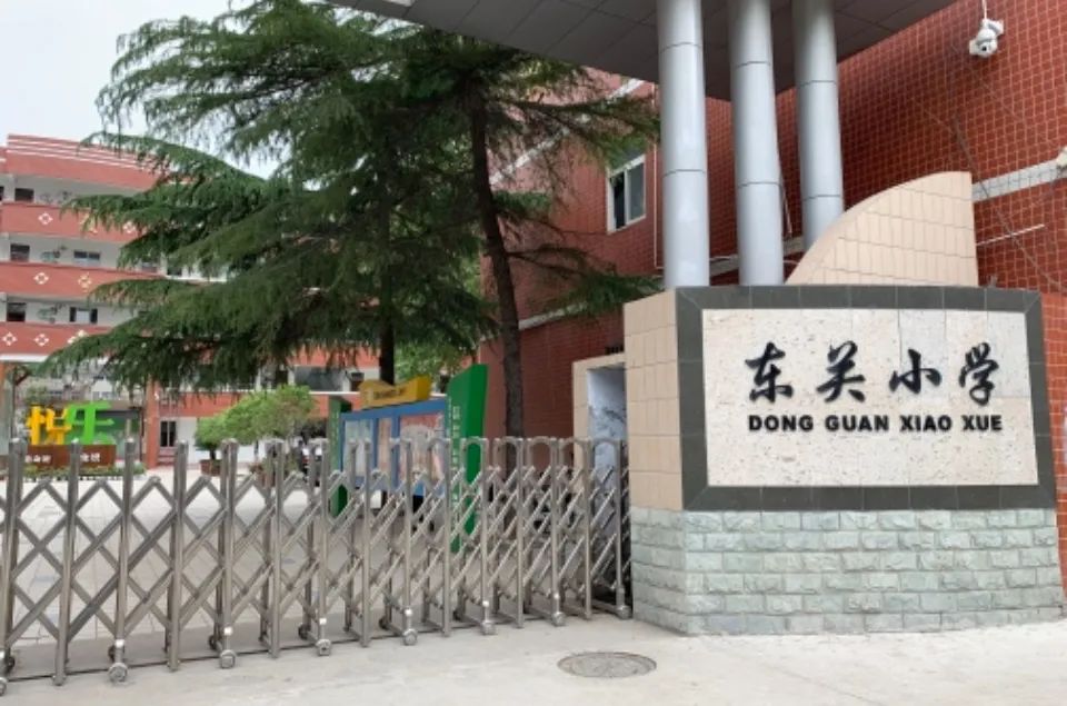 郑州所有公办小学学校有哪些,郑州市金水区小学教育排名