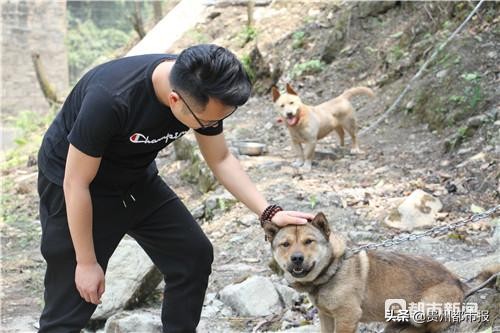 宠物生病去哪里找救助站,24小时宠物救助电话