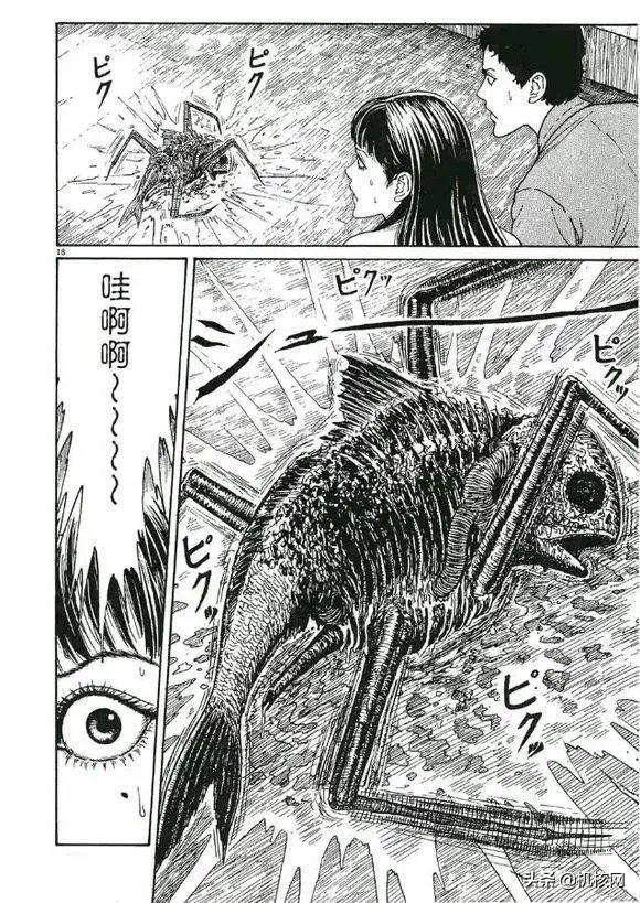 伊藤润二毛骨悚然的鱼去哪里看,伊藤润二鱼深层解析