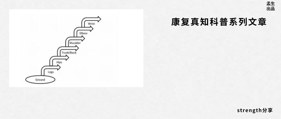 运动动力链是什么,人体运动系统动力链