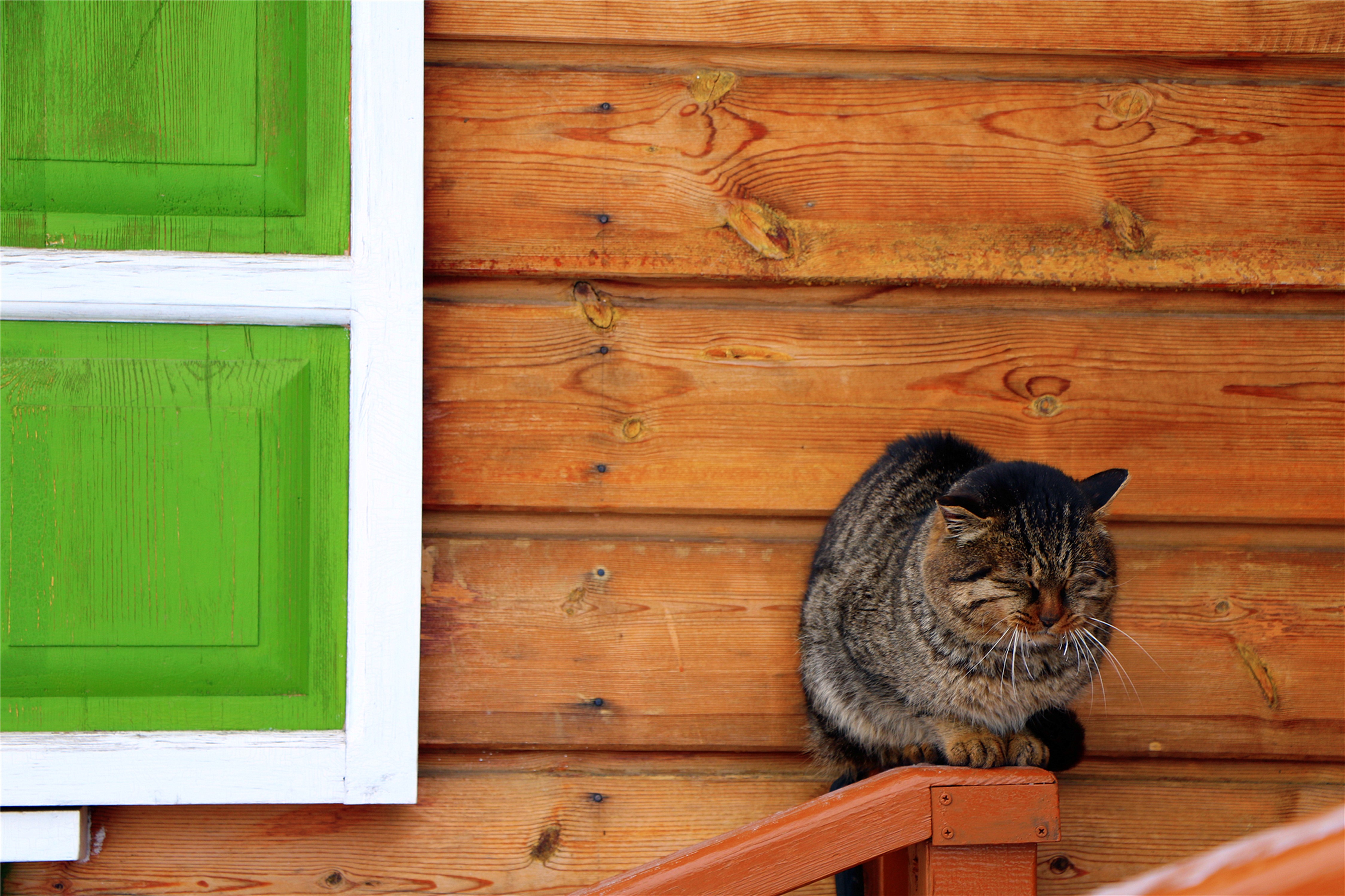 伏尔加庄园和俄罗斯风情小镇,伏尔加庄园浪漫的俄式冬季