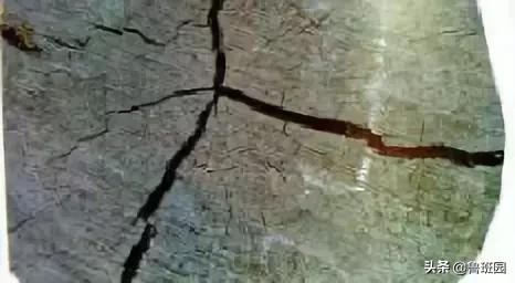 木材的主要缺陷,木材缺陷有哪些