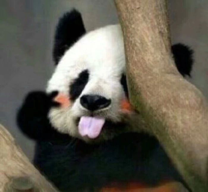 四十岁女人最适合的口红色号,口红最不易掉色的品牌