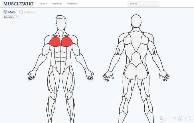 推荐国外好玩的软件,推荐好玩国外的app