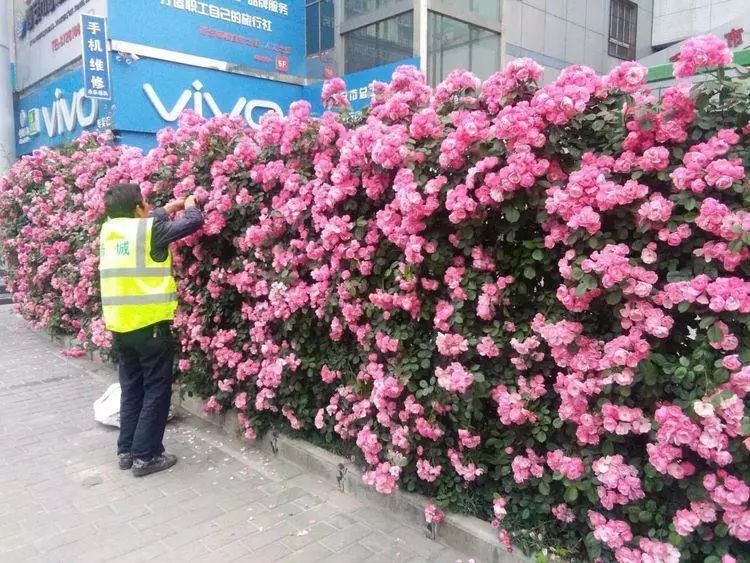 战高温斗酷暑坚守一线工地,战高温斗酷暑坚守一线照片