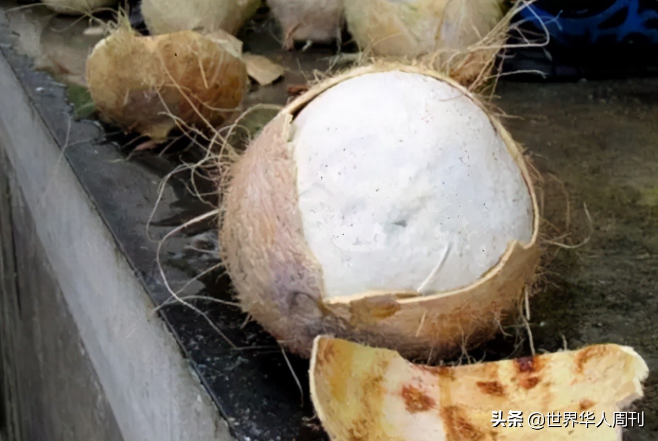 家庭妇女沦为毒枭，少女为爱运毒：那些疯狂的女毒贩怎么样了？