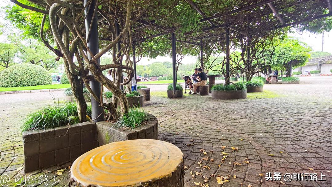 上海野生动物园可以自驾进去吗,从上海野生动物园怎样去上海南站