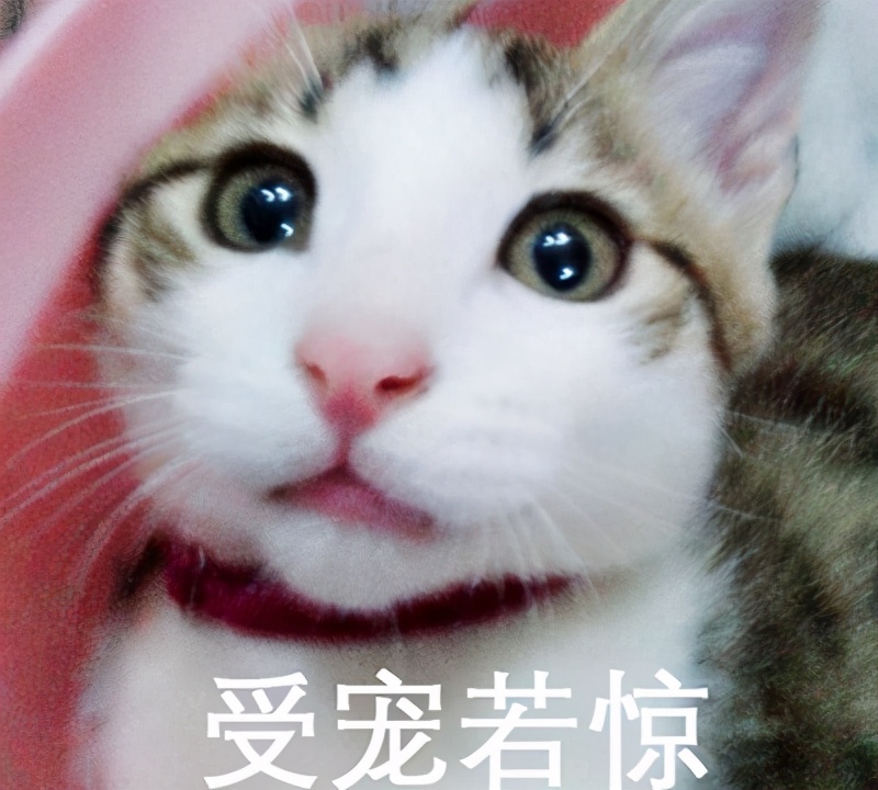 二手劳斯莱斯古思特值得购买吗,买一辆劳斯莱斯古思特全过程