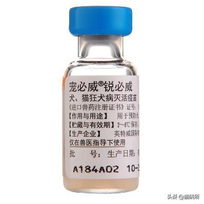 猫咪接种疫苗后局部红肿怎么处理,猫咪接种疫苗后哪些反应是正常的