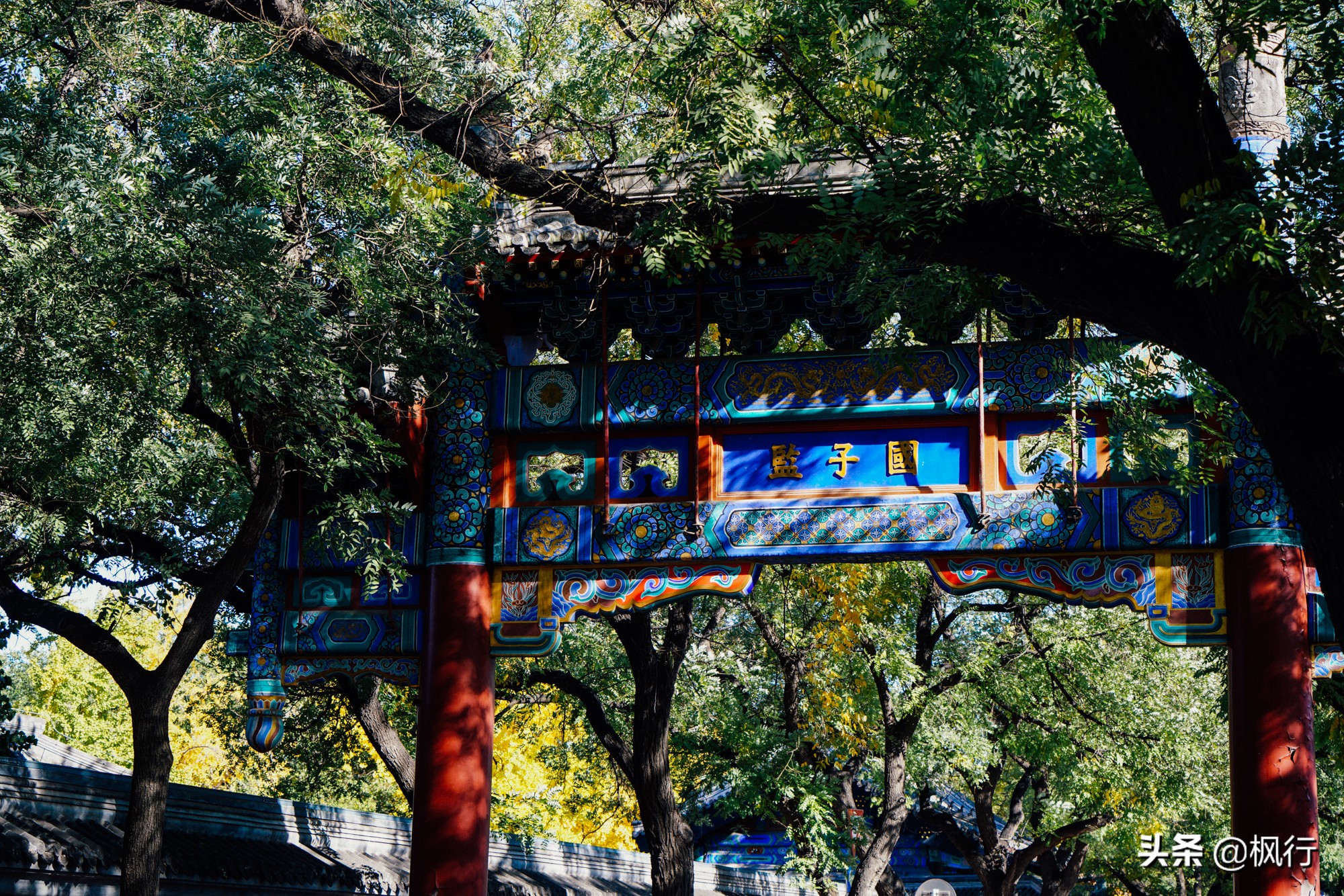 北京18个看银杏的好地方在哪,北京八大处看银杏攻略