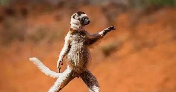 中国大学生太极拳,大学生练功走火入魔