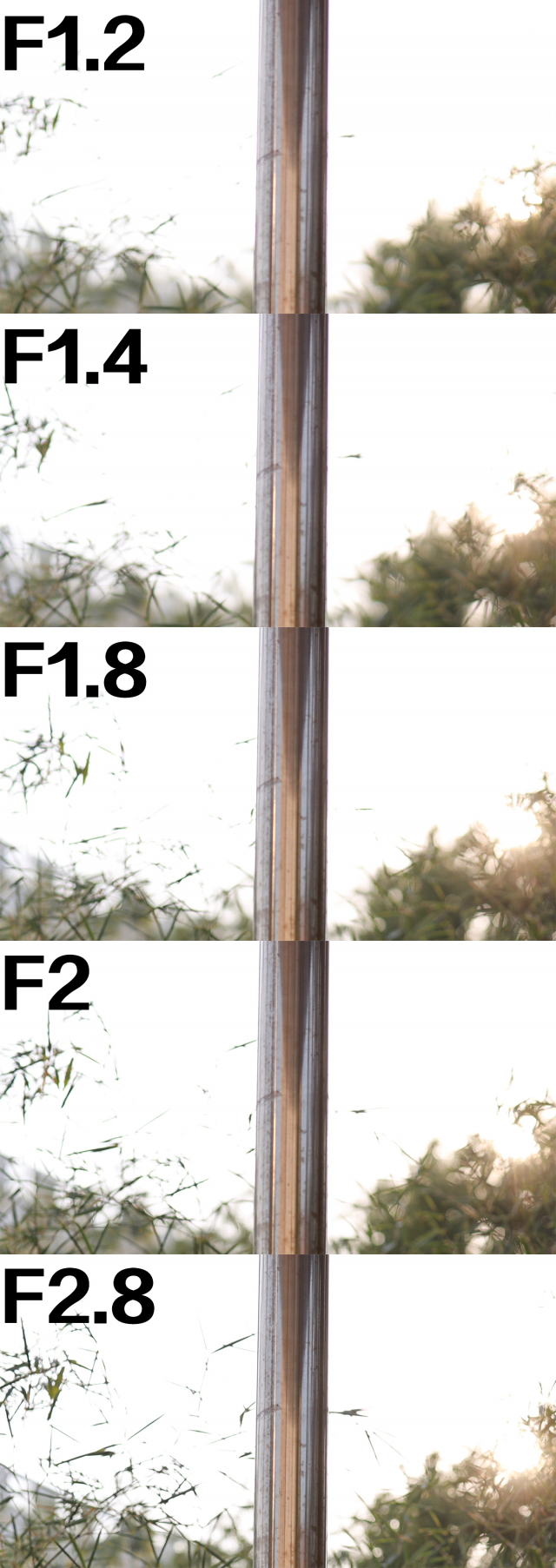 佳能50mmf1.4usm镜头测评,佳能rf50mmf1.2镜头