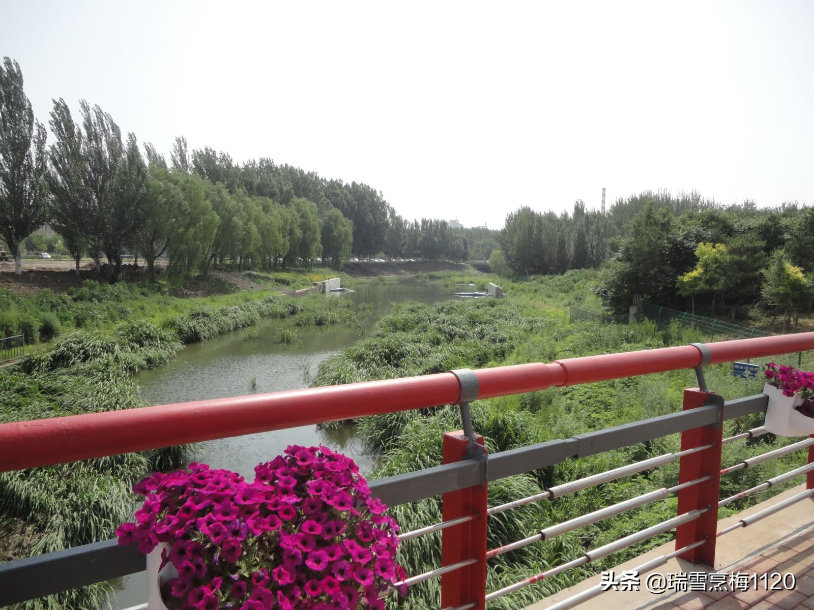 辽宁省沈阳市沈北新区道义街道,沈北新区道义街道划分地图