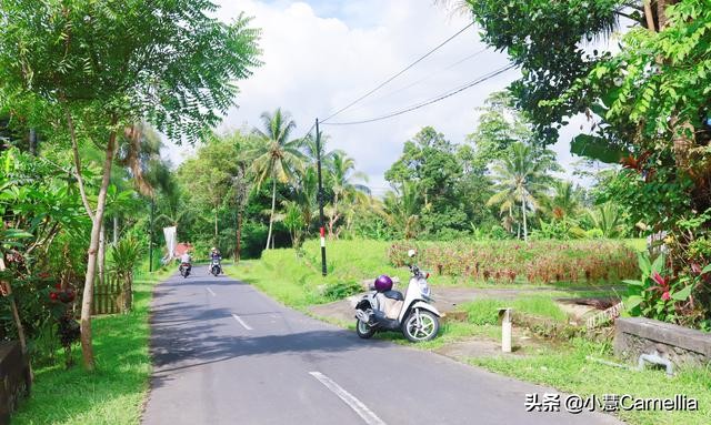 巴厘岛值得一游吗,旅行记推荐