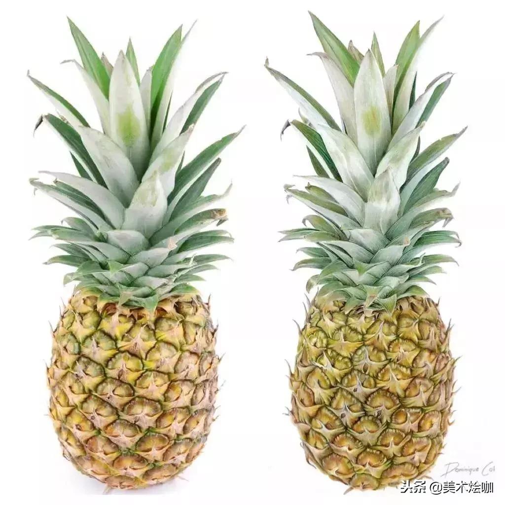 彩铅画教程超写实零基础入门,超写实彩铅画高清大图水果组合