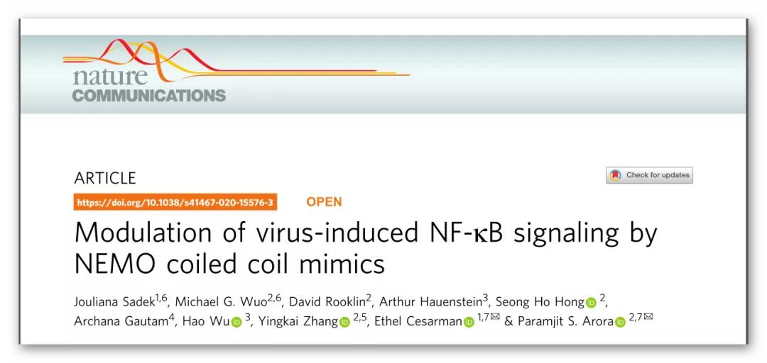 NC丨理性设计抗卡波氏肉瘤vFLIP-NEMO蛋白-蛋白相互作用*制剂抑**