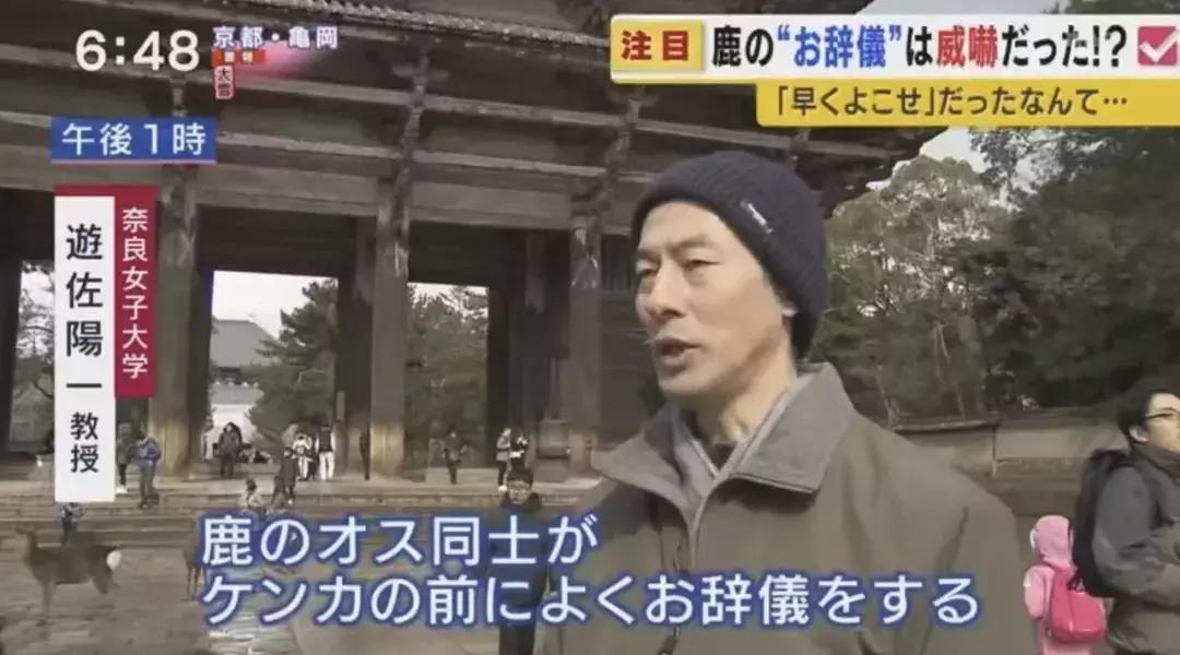 日本乌鸦会扭水龙头、小鹿会鞠躬、猴子会泡温泉，文明还是成精？