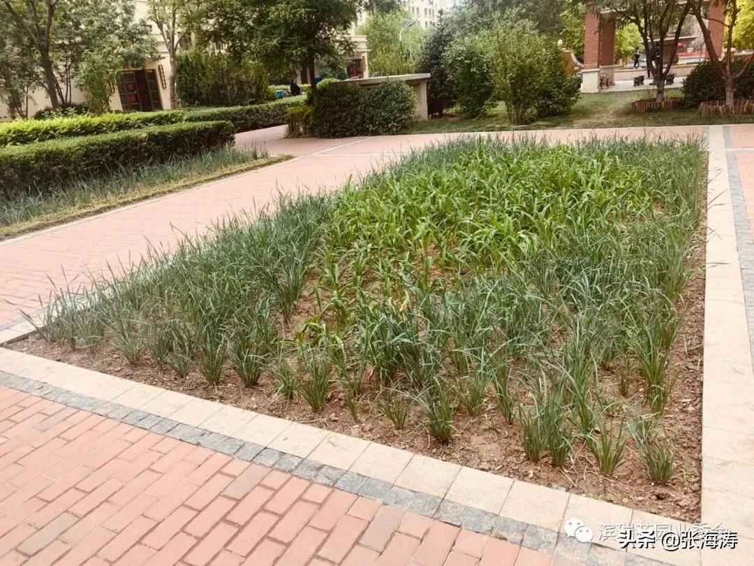 滨瑞花园业委会对星河物业滨瑞花园团队阶段工作的表扬