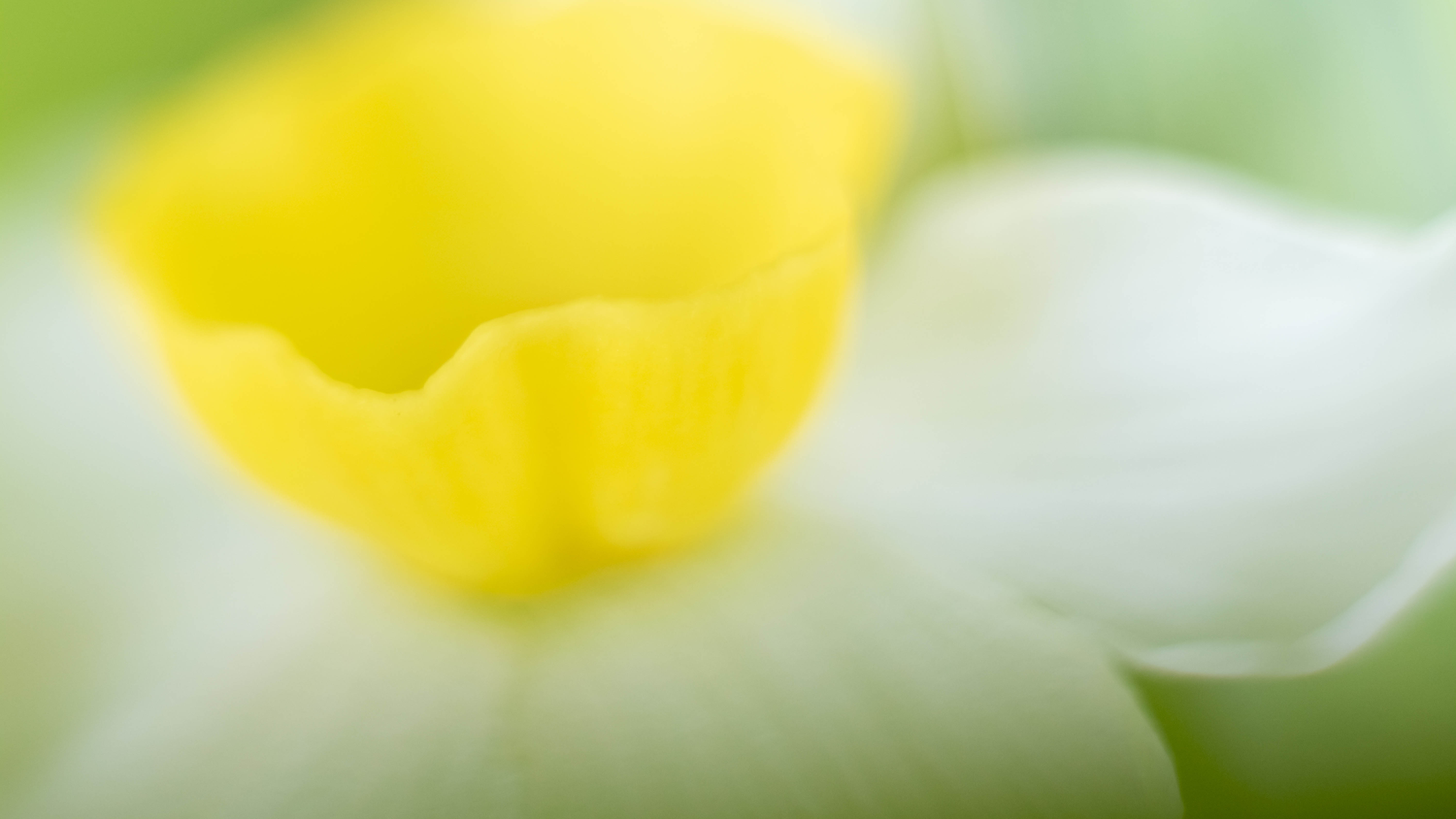 如何拍出艺术性人像摄影,如何拍出有深度的摄影作品