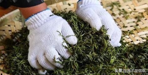 普洱茶真相揭秘切记不懂装懂,普洱茶切忌不懂装懂