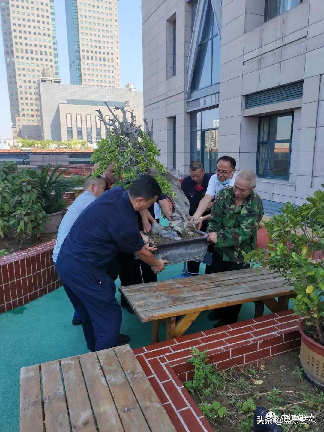 涓浗钁楀悕鐩嗘櫙澶у笀绮惧搧鐩嗘櫙,鐩嗘櫙鑹烘湳瀹跺拰鐩嗘櫙鑹烘湳澶у笀