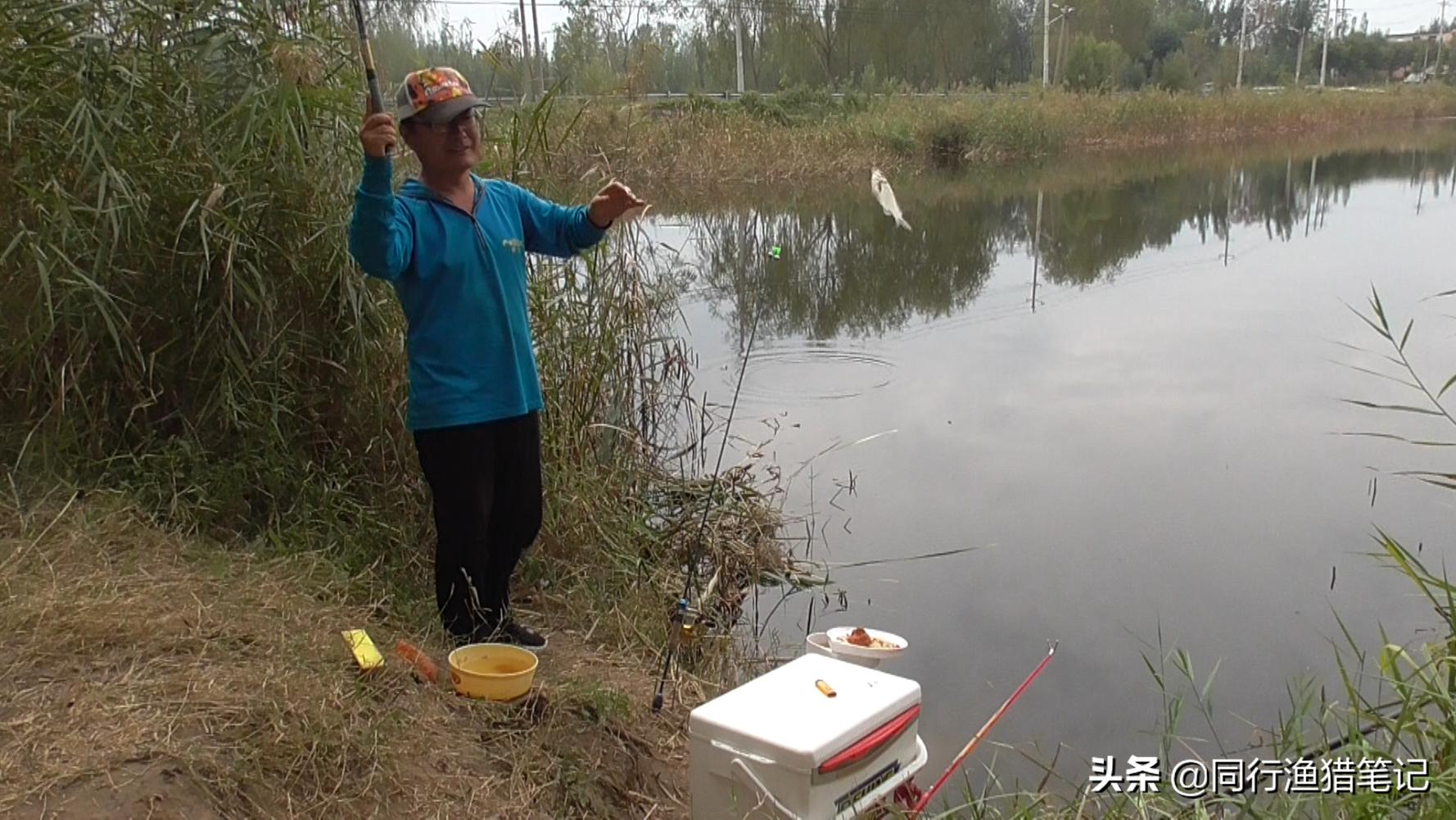 钓鲫鱼多长的子线合适,春季钓鲫鱼子线用长还是短子线