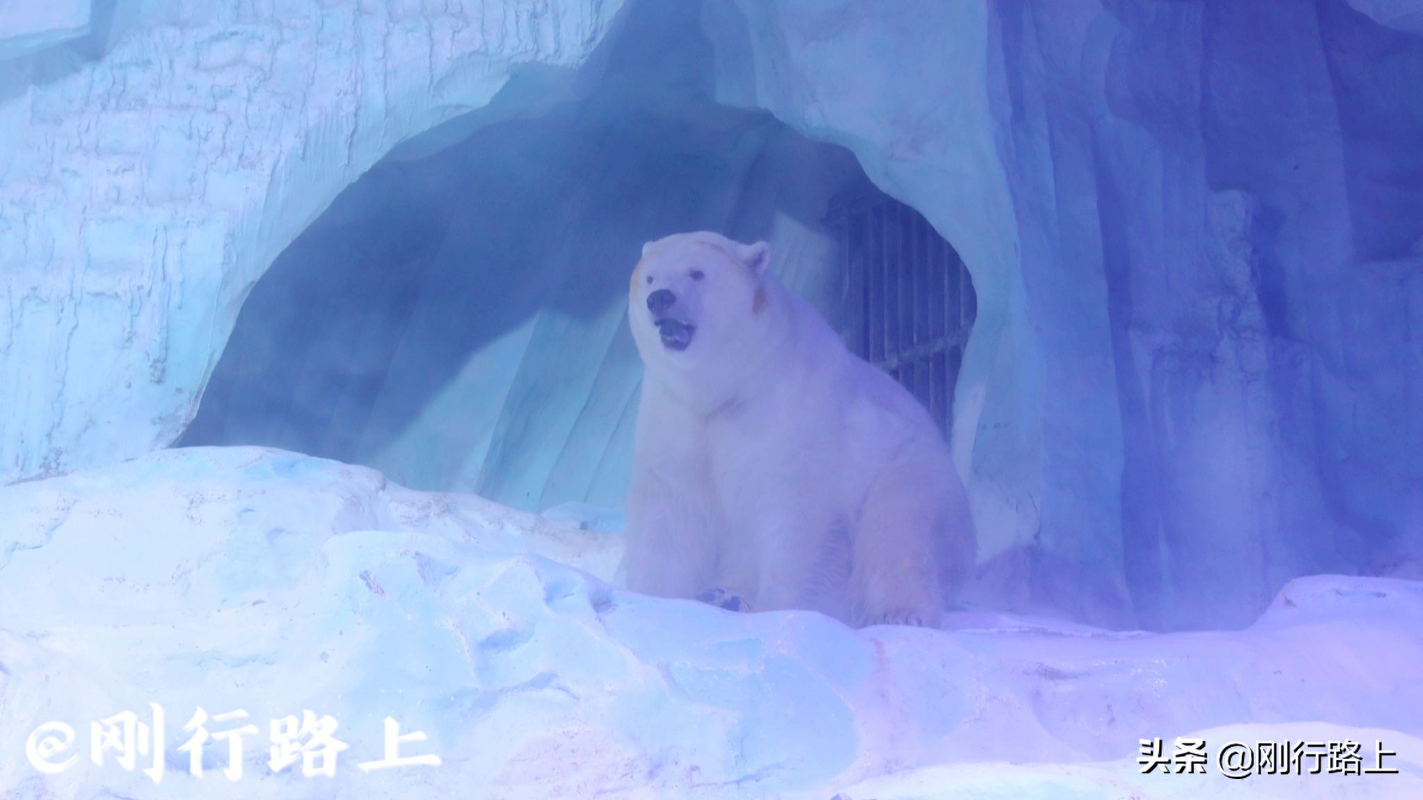 青岛海昌极地海洋世界深海探险,青岛海昌极地海洋世界景点视频