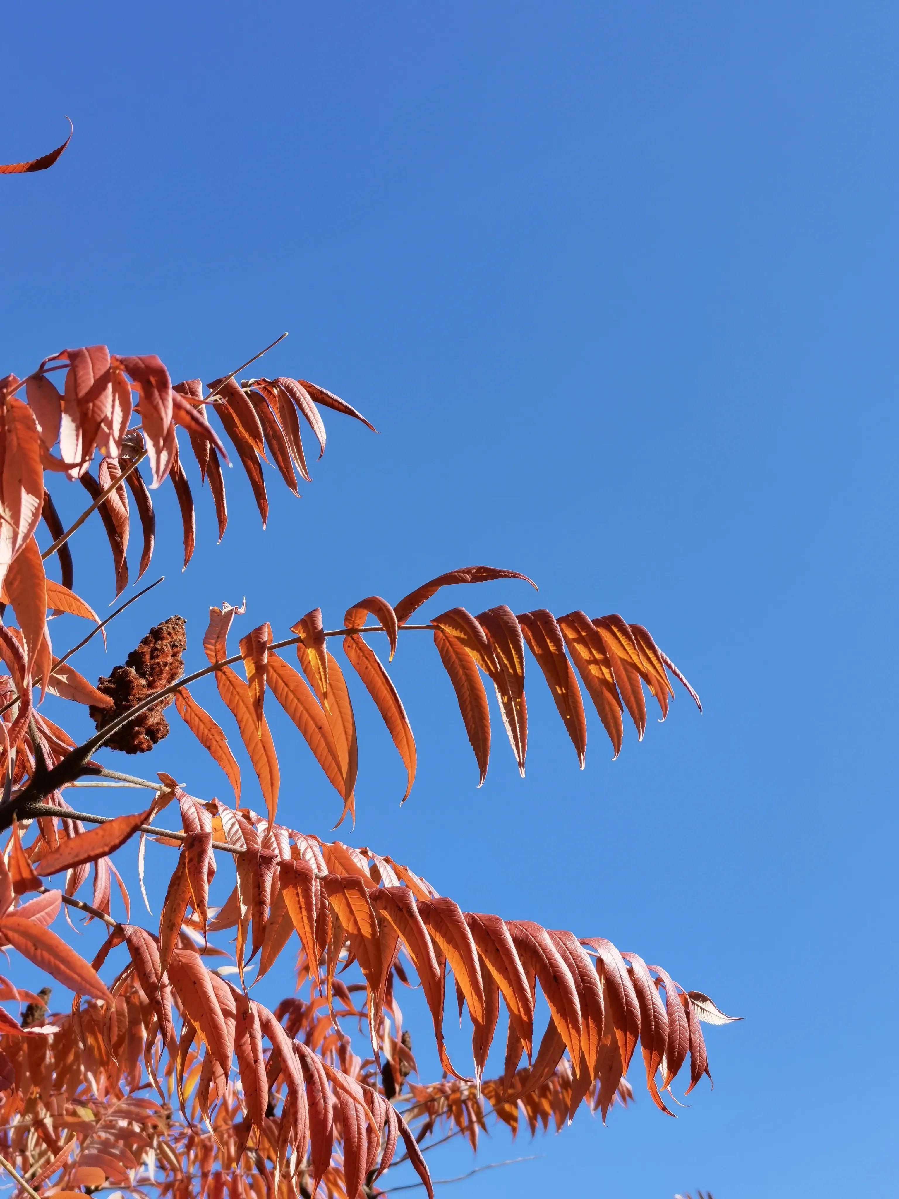 凡立事，谋于阴而取于阳——《古文观止》读书笔记（五十一）